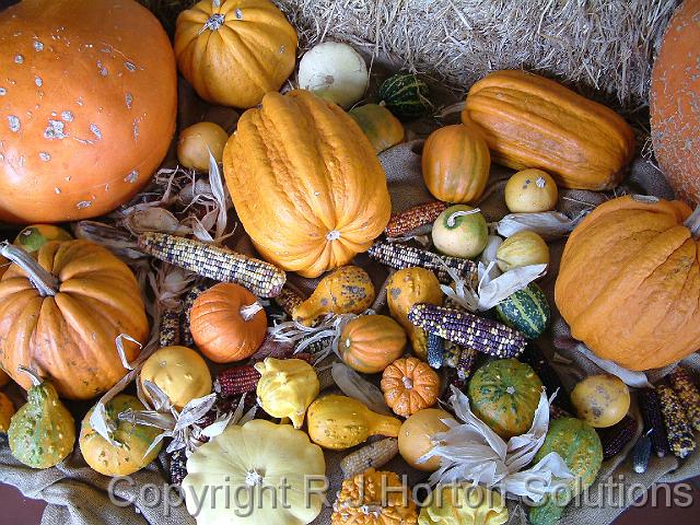 Pumpkin& corn display